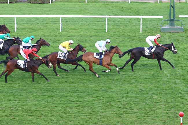 Photo d'arrivée de la course pmu PRIX DU PETIT MORIN à SAINT-CLOUD le Mercredi 26 octobre 2016