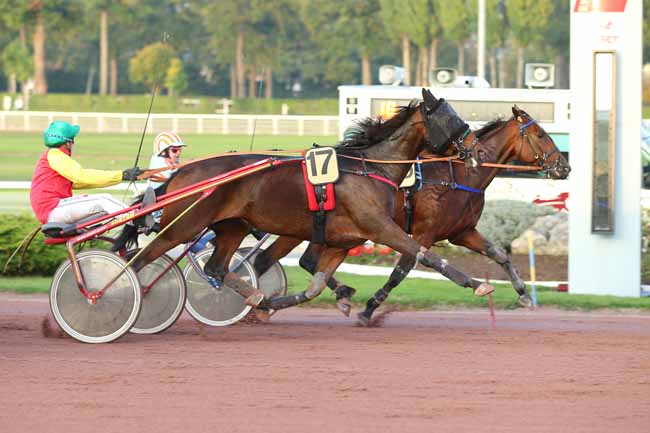 Photo d'arrivée de la course pmu PRIX DE SAINT-AMAND-LES-EAUX à ENGHIEN le Mercredi 26 octobre 2016