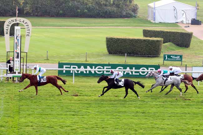 Photo d'arrivée de la course pmu PRIX IDALIE à MAISONS-LAFFITTE le Jeudi 27 octobre 2016
