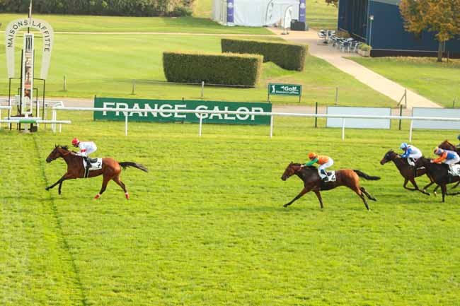 Photo d'arrivée de la course pmu PRIX DE SAINT-ARNOULT-EN-YVELINES à MAISONS-LAFFITTE le Jeudi 27 octobre 2016