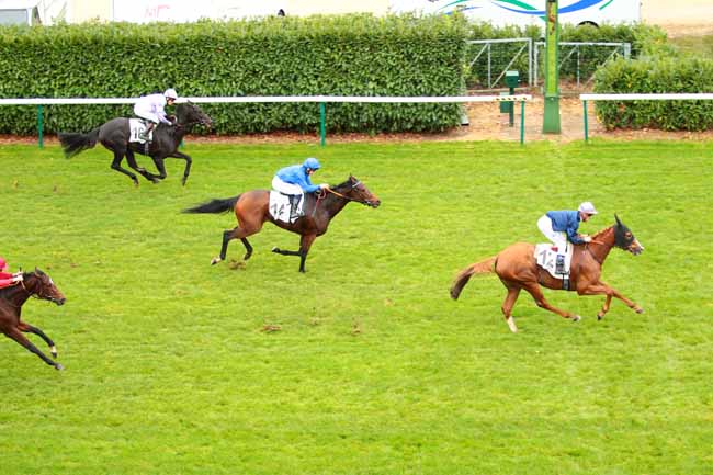 Photo d'arrivée de la course pmu PRIX DE LA ROUTE DES POSTES à CHANTILLY le Samedi 29 octobre 2016