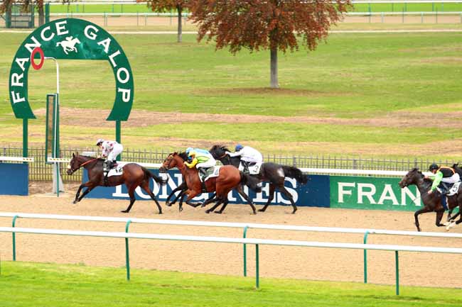 Photo d'arrivée de la course pmu PRIX DU CARREFOUR SAINT-REMY à CHANTILLY le Samedi 29 octobre 2016