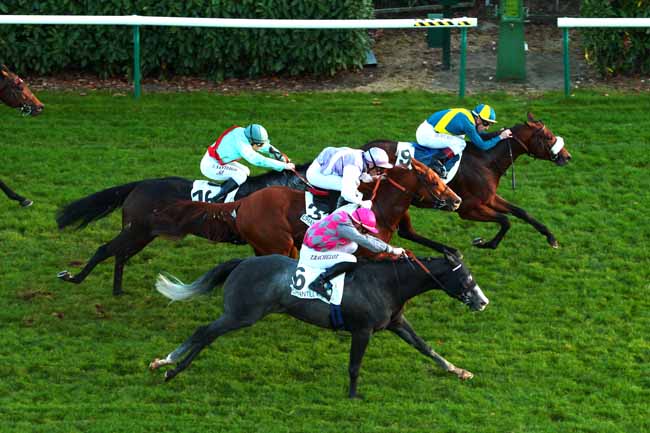 Photo d'arrivée de la course pmu PRIX DES SOIXANTE ARPENTS à CHANTILLY le Samedi 29 octobre 2016