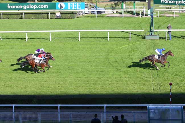 Photo d'arrivée de la course pmu PRIX FITERARI à SAINT-CLOUD le Dimanche 30 octobre 2016