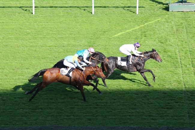 Photo d'arrivée de la course pmu PRIX TOPYO à SAINT-CLOUD le Dimanche 30 octobre 2016