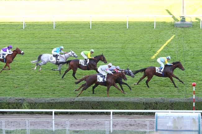 Photo d'arrivée de la course pmu PRIX DE LA LIGUE FRANCAISE POUR LA PROTECTION DU CHEVAL à SAINT-CLOUD le Dimanche 30 octobre 2016