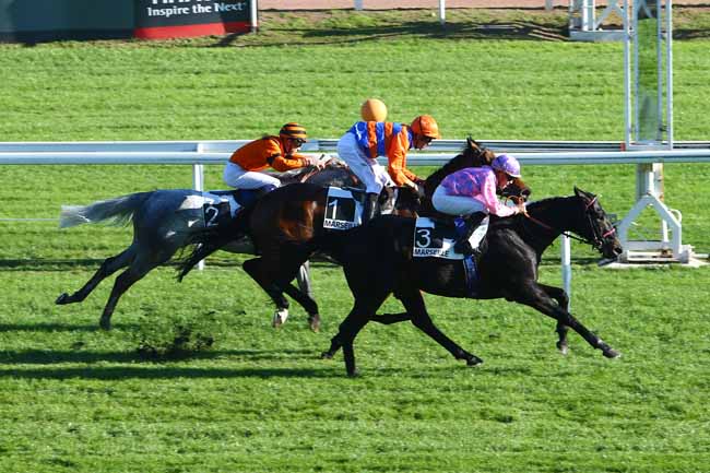 Photo d'arrivée de la course pmu PRIX SABY ZARAYA à CAGNES-SUR-MER le Lundi 31 octobre 2016