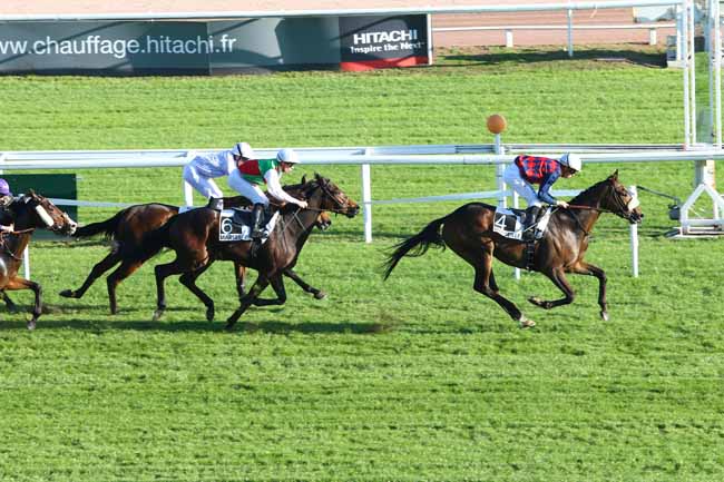 Photo d'arrivée de la course pmu PRIX DE L'ASSOCIATION DES JOCKEYS à CAGNES-SUR-MER le Lundi 31 octobre 2016
