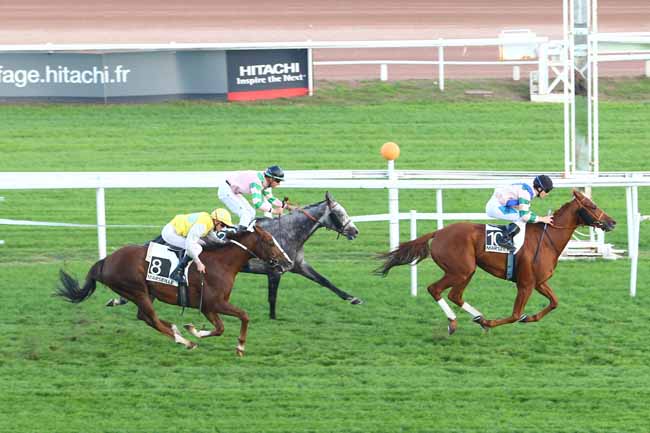 Photo d'arrivée de la course pmu PRIX DES SOCIETAIRES à CAGNES-SUR-MER le Lundi 31 octobre 2016