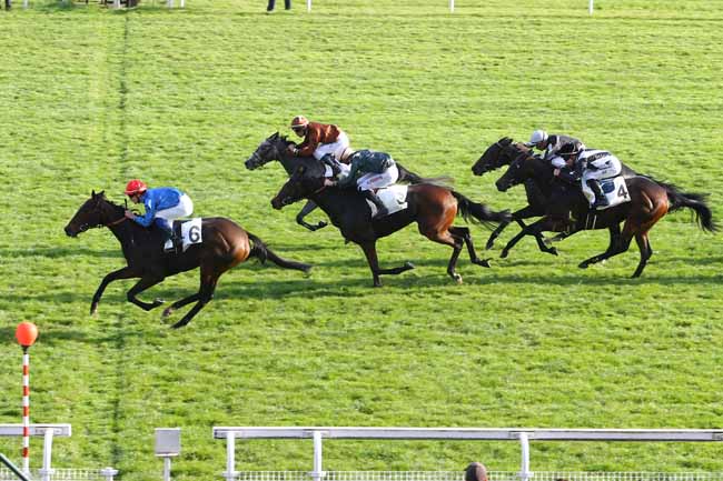 Photo d'arrivée de la course pmu PRIX MIESQUE à MAISONS-LAFFITTE le Mardi 1 novembre 2016