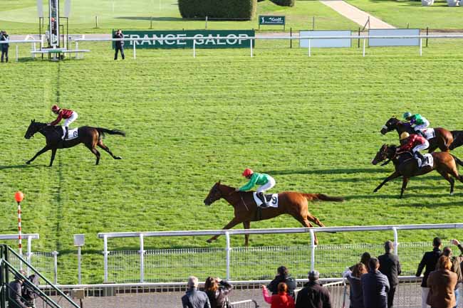 Photo d'arrivée de la course pmu PRIX DE SEINE-ET-OISE à MAISONS-LAFFITTE le Mardi 1 novembre 2016