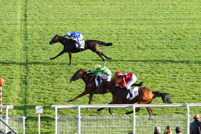 Photo d'arrivée de la course pmu PRIX DE MAISONS-SUR-SEINE à MAISONS-LAFFITTE le Mardi 1 novembre 2016