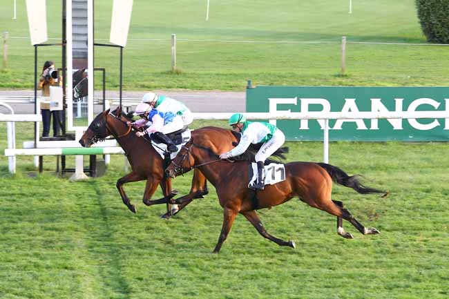 Photo d'arrivée de la course pmu PRIX DE FEUCHEROLLES à MAISONS-LAFFITTE le Mardi 1 novembre 2016