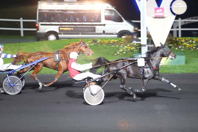 Photo d'arrivée de la course pmu PRIX LYRA à PARIS-VINCENNES le Mardi 1 novembre 2016