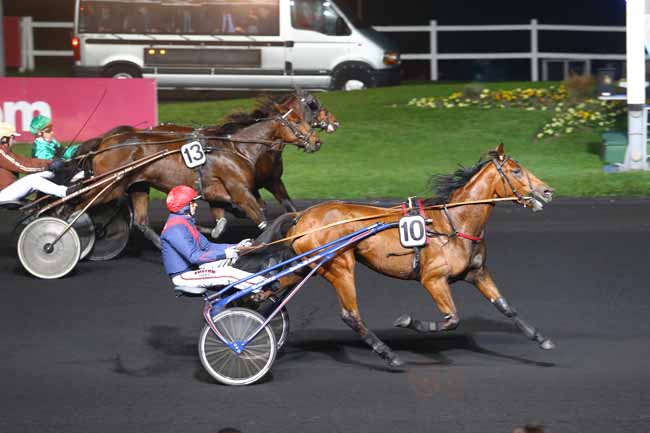 Photo d'arrivée de la course pmu PRIX LAMEIA à PARIS-VINCENNES le Mardi 1 novembre 2016