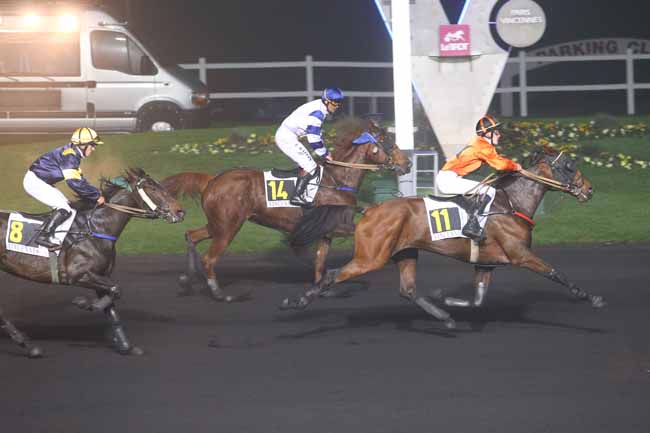 Photo d'arrivée de la course pmu PRIX BRUCIA à PARIS-VINCENNES le Mardi 1 novembre 2016