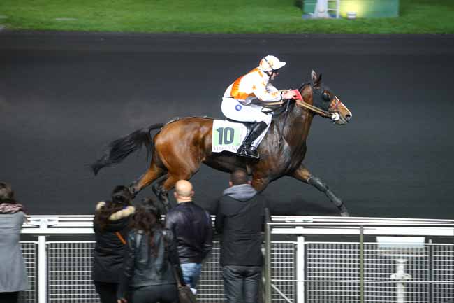 Photo d'arrivée de la course pmu PRIX JUSTICIA à PARIS-VINCENNES le Mardi 1 novembre 2016