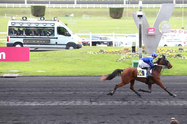 Photo d'arrivée de la course pmu PRIX DU CHER à PARIS-VINCENNES le Mercredi 2 novembre 2016