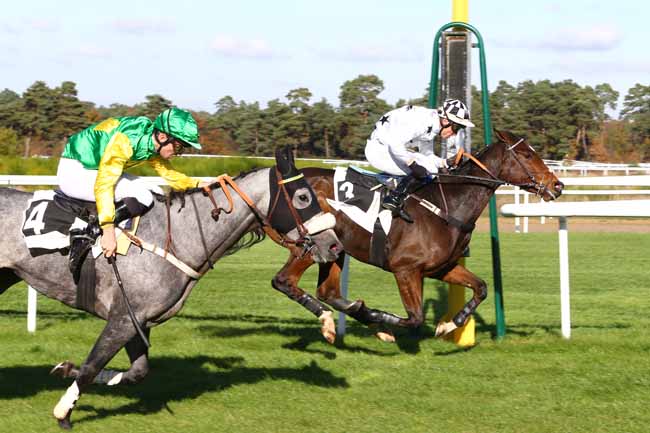 Photo d'arrivée de la course pmu PRIX COLONEL ROBERT LABOUCHE à FONTAINEBLEAU le Jeudi 3 novembre 2016