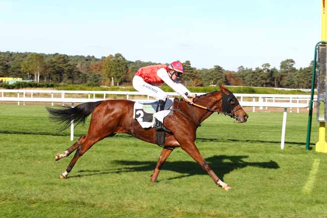 Photo d'arrivée de la course pmu PRIX DU DEBUCHER à FONTAINEBLEAU le Jeudi 3 novembre 2016