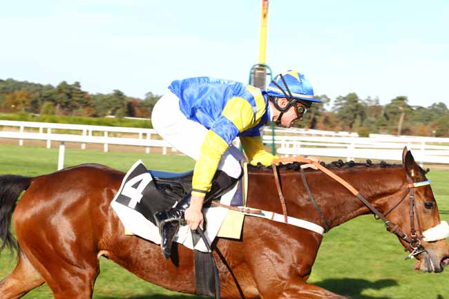 Photo d'arrivée de la course pmu PRIX DU BARON GEOFFROY DE WALDNER à FONTAINEBLEAU le Jeudi 3 novembre 2016