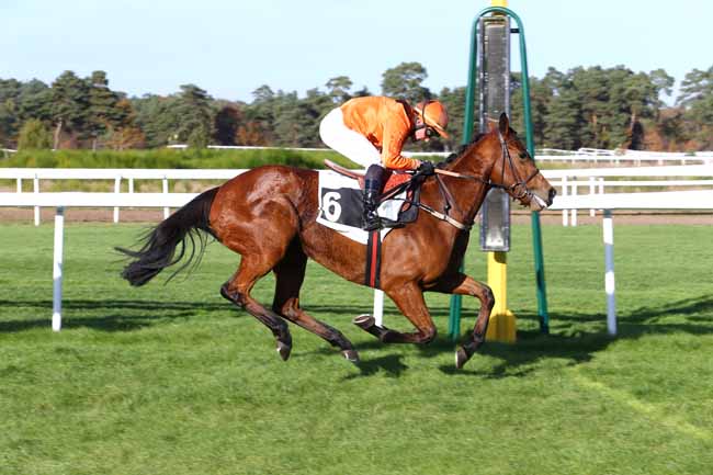 Photo d'arrivée de la course pmu PRIX PATRICE QUENEDEY à FONTAINEBLEAU le Jeudi 3 novembre 2016