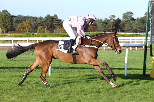 Photo d'arrivée de la course pmu PRIX PRINCESSE D'ANJOU à FONTAINEBLEAU le Jeudi 3 novembre 2016