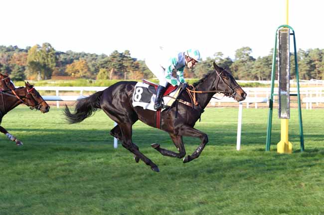 Photo d'arrivée de la course pmu PRIX DU COMTE ANTOINE DE GONTAUT-BIRON à FONTAINEBLEAU le Jeudi 3 novembre 2016