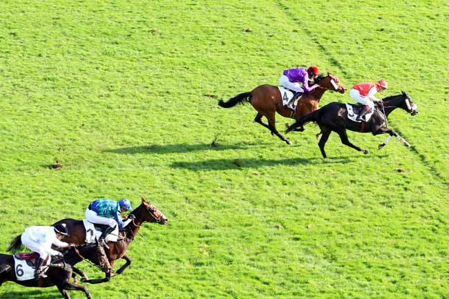 Photo d'arrivée de la course pmu PRIX DE L'ASSOCIATION NATIONALE DES TURFISTES à AUTEUIL le Samedi 5 novembre 2016