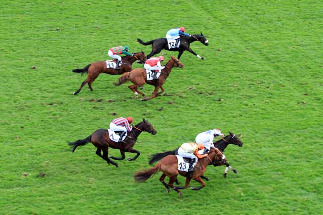 Photo d'arrivée de la course pmu PRIX KETCH à AUTEUIL le Samedi 5 novembre 2016
