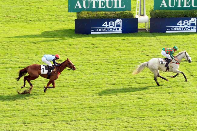 Photo d'arrivée de la course pmu PRIX COQ GAULOIS à AUTEUIL le Dimanche 6 novembre 2016