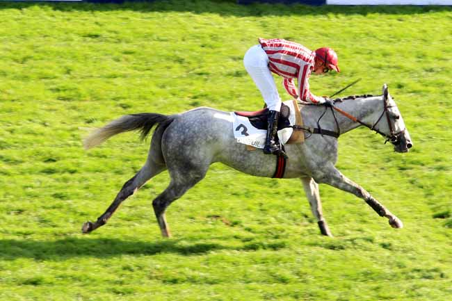 Photo d'arrivée de la course pmu PRIX FONDEUR à AUTEUIL le Dimanche 6 novembre 2016
