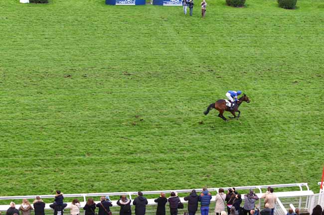 Photo d'arrivée de la course pmu PRIX BERNARD SECLY à AUTEUIL le Dimanche 6 novembre 2016