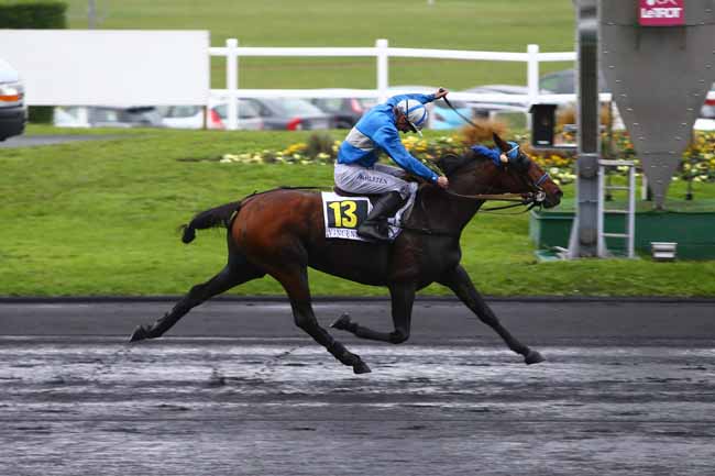 Photo d'arrivée de la course pmu PRIX REYNOLDS à PARIS-VINCENNES le Lundi 7 novembre 2016