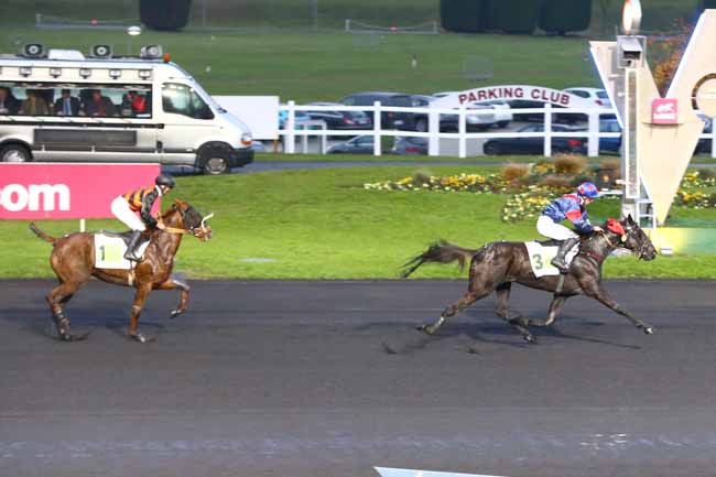 Photo d'arrivée de la course pmu PRIX D'ANGERS à PARIS-VINCENNES le Lundi 7 novembre 2016