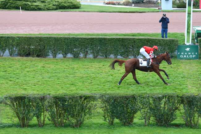 Photo d'arrivée de la course pmu PRIX ELISA à ENGHIEN le Lundi 7 novembre 2016