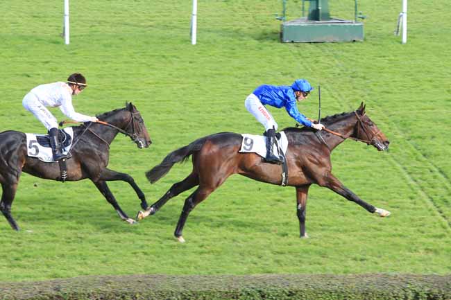 Photo d'arrivée de la course pmu PRIX DAGOR à SAINT-CLOUD le Mardi 8 novembre 2016