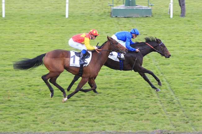 Photo d'arrivée de la course pmu PRIX ISOLA BELLA - FONDS EUROPEEN DE L'ELEVAGE à SAINT-CLOUD le Mardi 8 novembre 2016