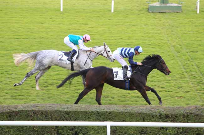 Photo d'arrivée de la course pmu PRIX SOLITUDE à SAINT-CLOUD le Mardi 8 novembre 2016