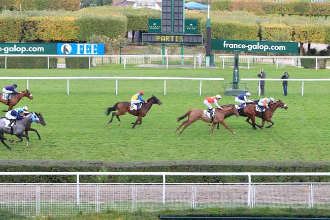 Photo d'arrivée de la course pmu PRIX DE BESSAN à SAINT-CLOUD le Mardi 8 novembre 2016