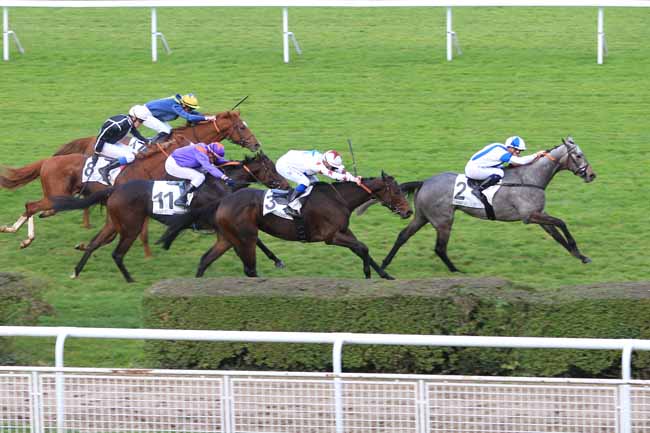 Photo d'arrivée de la course pmu PRIX DES COTEAUX DE SAINT CLOUD à SAINT-CLOUD le Mardi 8 novembre 2016