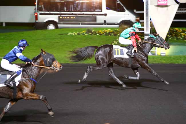 Photo d'arrivée de la course pmu PRIX LACERTA à PARIS-VINCENNES le Mardi 8 novembre 2016