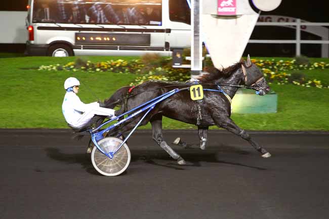 Photo d'arrivée de la course pmu PRIX KERONIS (GR B) à PARIS-VINCENNES le Mardi 8 novembre 2016
