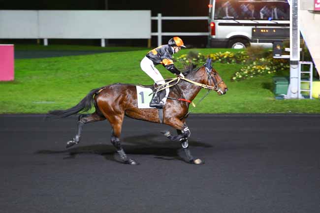 Photo d'arrivée de la course pmu PRIX OHIO à PARIS-VINCENNES le Mardi 8 novembre 2016