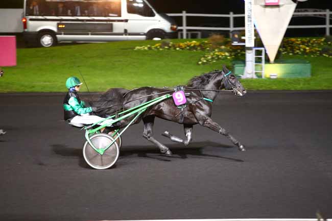 Photo d'arrivée de la course pmu PRIX GEMINUS à PARIS-VINCENNES le Mardi 8 novembre 2016