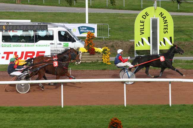 Photo d'arrivée de la course pmu GRAND PRIX SYNERGIE à NANTES le Mercredi 9 novembre 2016