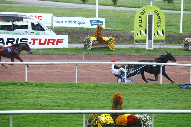 Photo d'arrivée de la course pmu PRIX PRESSE OCEAN à NANTES le Mercredi 9 novembre 2016