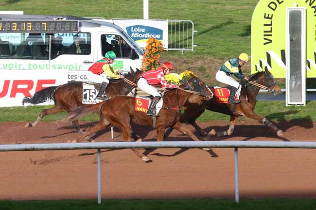 Photo d'arrivée de la course pmu PRIX OUEST FRANCE à NANTES le Mercredi 9 novembre 2016
