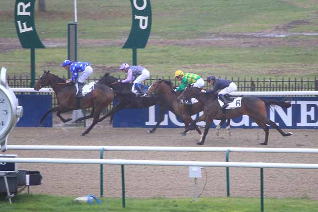 Photo d'arrivée de la course pmu PRIX DES PIQUEUX à CHANTILLY le Mercredi 9 novembre 2016