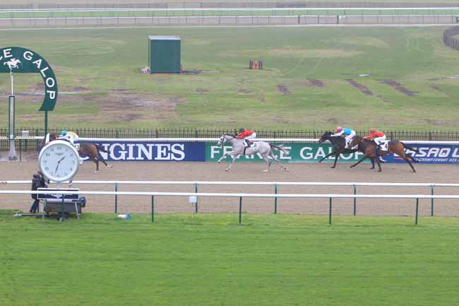 Photo d'arrivée de la course pmu PRIX DE LA BOUCLE D'EN HAUT à CHANTILLY le Mercredi 9 novembre 2016